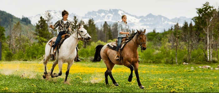 Confident plus-size woman riding Westbury a horse through a field with a smile on her face.
